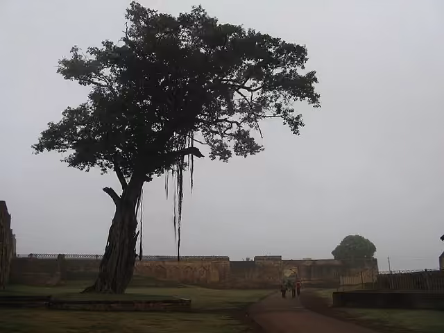 Photography — image 14