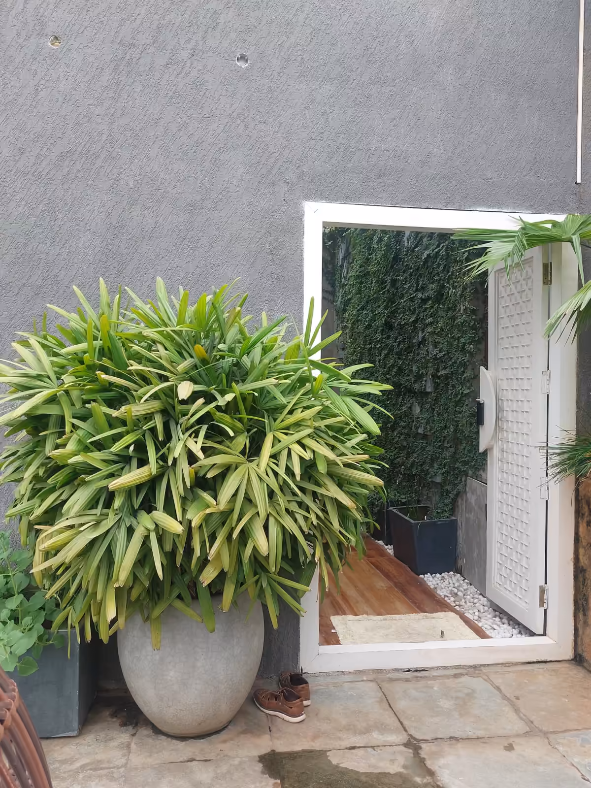 Residence - Besant nagar — image 5